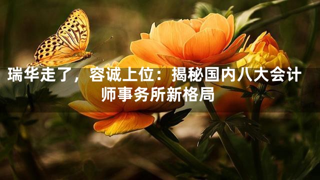 瑞华走了，容诚上位：揭秘国内八大会计师事务所新格局