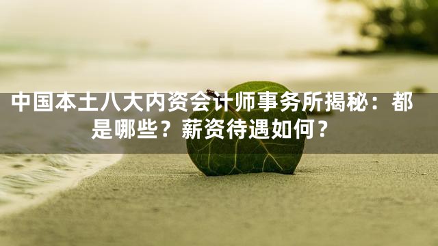 中国本土八大内资会计师事务所揭秘：都是哪些？薪资待遇如何？