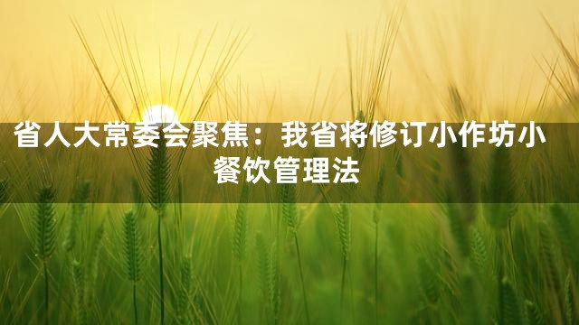 省人大常委会聚焦：我省将修订小作坊小餐饮管理法
