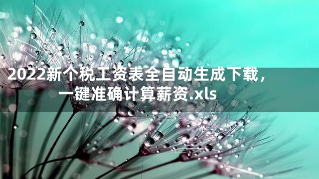 2022新个税工资表全自动生成下载，一键准确计算薪资.xls
