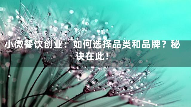 小微餐饮创业：如何选择品类和品牌？秘诀在此！