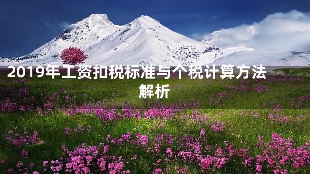 2019年工资扣税标准与个税计算方法解析