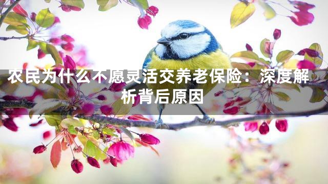农民为什么不愿灵活交养老保险：深度解析背后原因