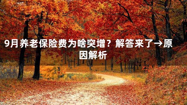 9月养老保险费为啥突增？解答来了→原因解析