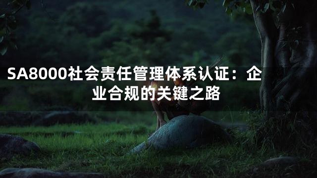 SA8000社会责任管理体系认证：企业合规的关键之路