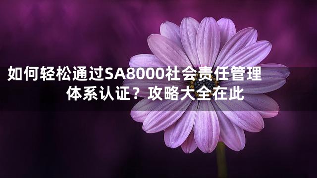 如何轻松通过SA8000社会责任管理体系认证？攻略大全在此