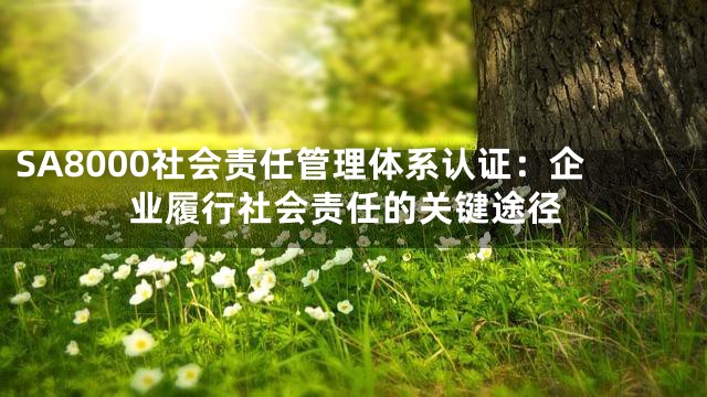 SA8000社会责任管理体系认证：企业履行社会责任的关键途径