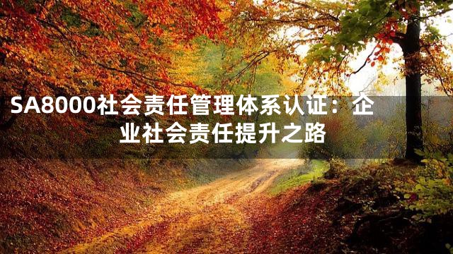 SA8000社会责任管理体系认证：企业社会责任提升之路