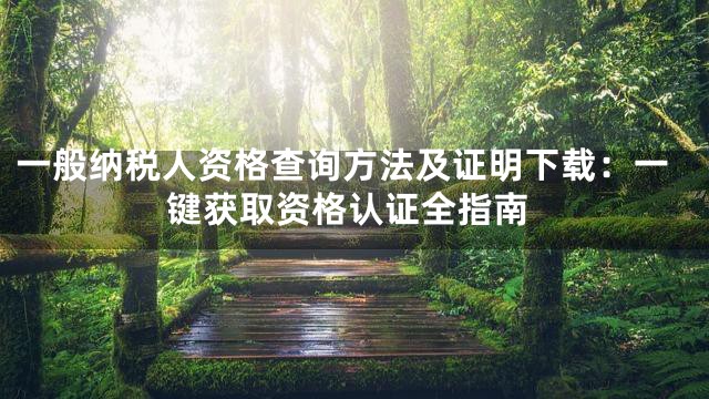 一般纳税人资格查询方法及证明下载：一键获取资格认证全指南