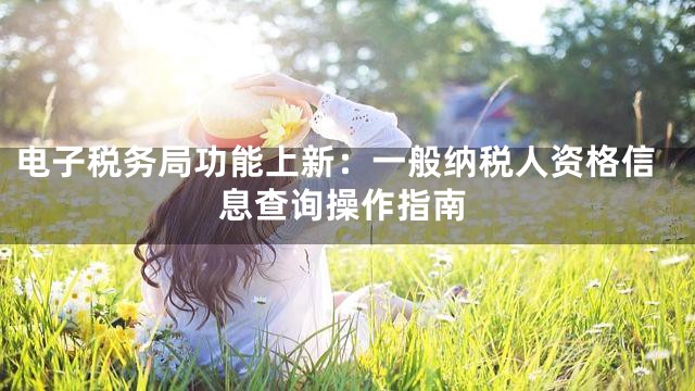 电子税务局功能上新：一般纳税人资格信息查询操作指南