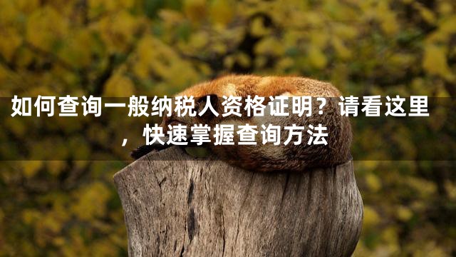如何查询一般纳税人资格证明？请看这里，快速掌握查询方法