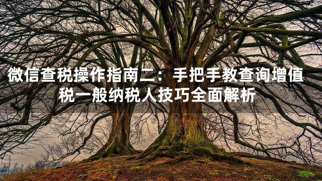 微信查税操作指南二：手把手教查询增值税一般纳税人技巧全面解析