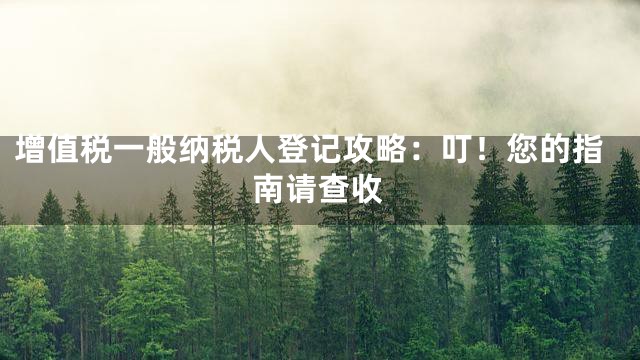 增值税一般纳税人登记攻略：叮！您的指南请查收