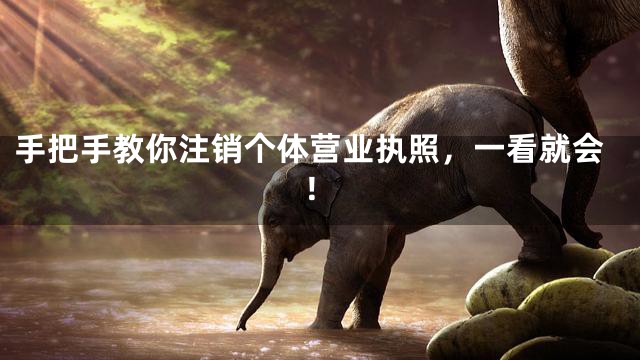 手把手教你注销个体营业执照，一看就会！