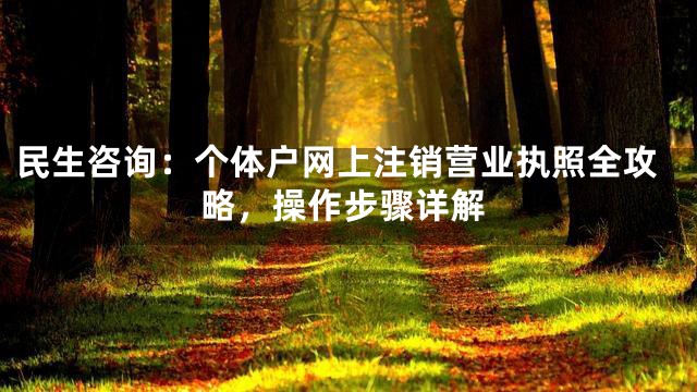 民生咨询：个体户网上注销营业执照全攻略，操作步骤详解