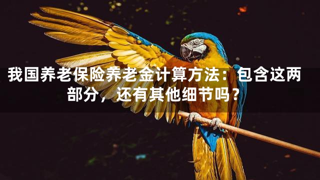 我国养老保险养老金计算方法：包含这两部分，还有其他细节吗？