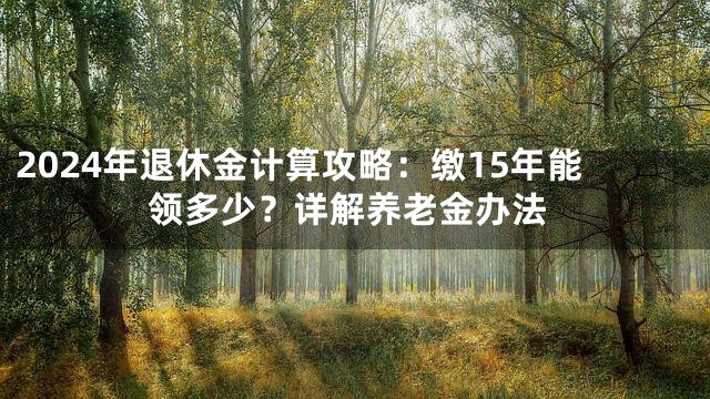 2024年退休金计算攻略：缴15年能领多少？详解养老金办法