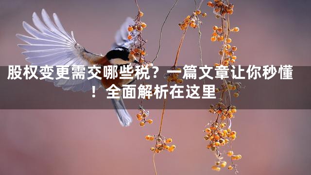 股权变更需交哪些税？一篇文章让你秒懂！全面解析在这里