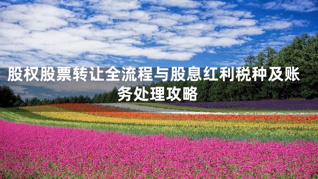 股权股票转让全流程与股息红利税种及账务处理攻略