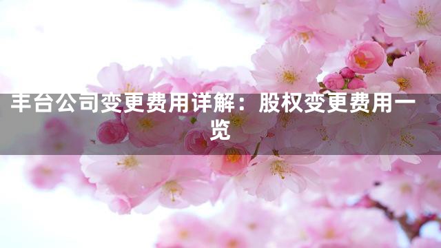 丰台公司变更费用详解：股权变更费用一览