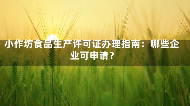 小作坊食品生产许可证办理指南：哪些企业可申请？
