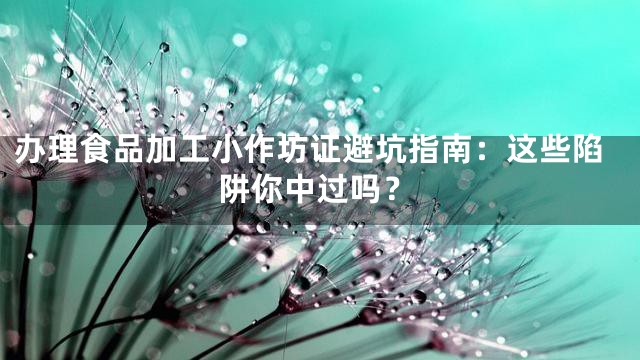 办理食品加工小作坊证避坑指南：这些陷阱你中过吗？