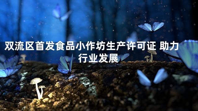 双流区首发食品小作坊生产许可证 助力行业发展