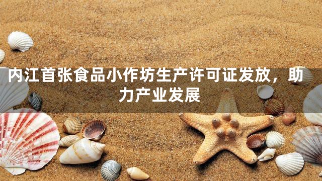 内江首张食品小作坊生产许可证发放，助力产业发展