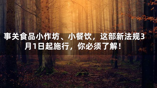 事关食品小作坊、小餐饮，这部新法规3月1日起施行，你必须了解！