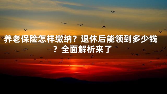 养老保险怎样缴纳？退休后能领到多少钱？全面解析来了