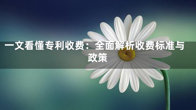 一文看懂专利收费：全面解析收费标准与政策