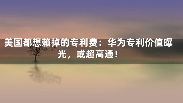美国都想赖掉的专利费：华为专利价值曝光，或超高通！