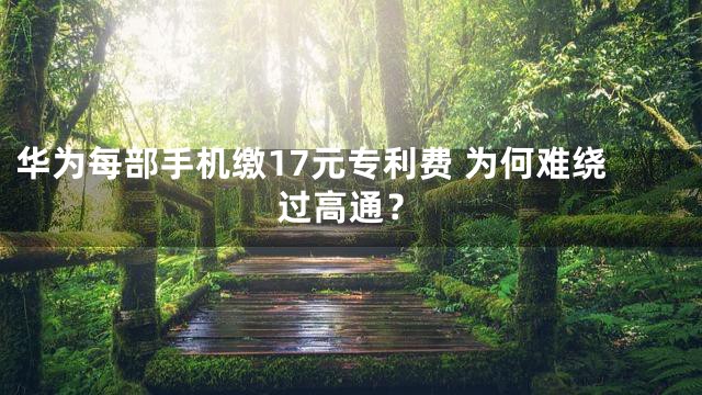 华为每部手机缴17元专利费 为何难绕过高通？