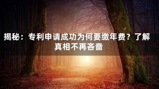 揭秘：专利申请成功为何要缴年费？了解真相不再吝啬