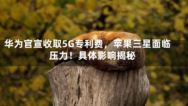 华为官宣收取5G专利费，苹果三星面临压力！具体影响揭秘