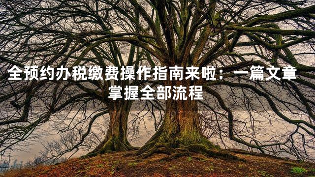 全预约办税缴费操作指南来啦：一篇文章掌握全部流程
