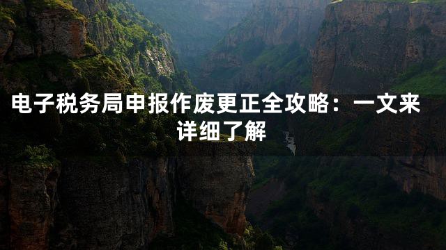 电子税务局申报作废更正全攻略：一文来详细了解