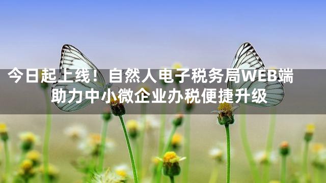 今日起上线！自然人电子税务局WEB端助力中小微企业办税便捷升级