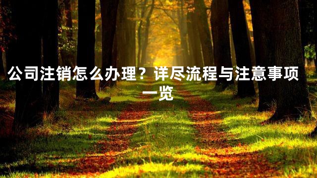 公司注销怎么办理？详尽流程与注意事项一览