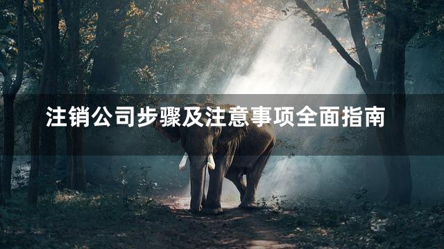 注销公司步骤及注意事项全面指南