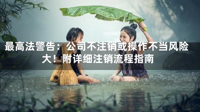 最高法警告：公司不注销或操作不当风险大！附详细注销流程指南