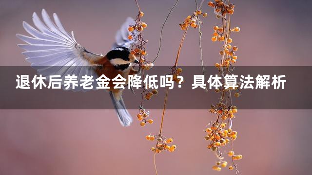 退休后养老金会降低吗？具体算法解析