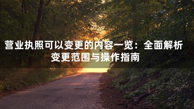 营业执照可以变更的内容一览：全面解析变更范围与操作指南
