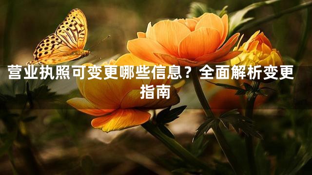 营业执照可变更哪些信息？全面解析变更指南