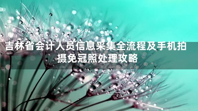 吉林省会计人员信息采集全流程及手机拍摄免冠照处理攻略