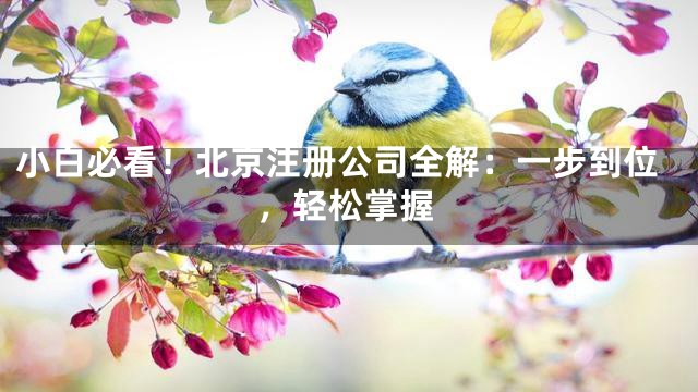 小白必看！北京注册公司全解：一步到位，轻松掌握