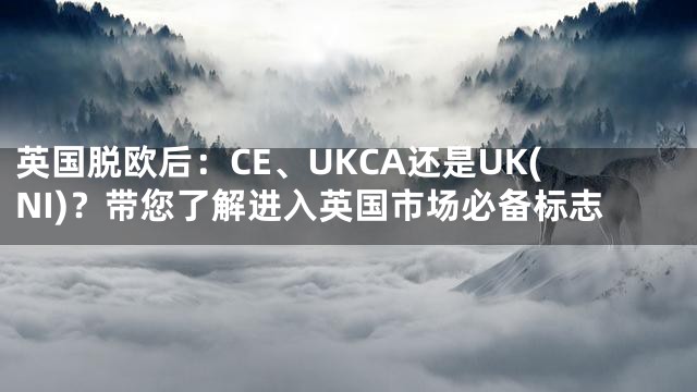 英国脱欧后：CE、UKCA还是UK(NI)？带您了解进入英国市场必备标志