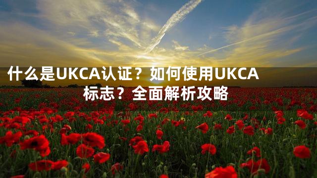 什么是UKCA认证？如何使用UKCA标志？全面解析攻略
