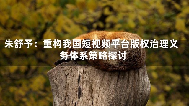 朱舒予：重构我国短视频平台版权治理义务体系策略探讨