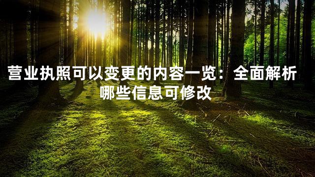 营业执照可以变更的内容一览：全面解析哪些信息可修改